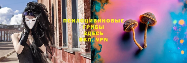 тгк Сатка