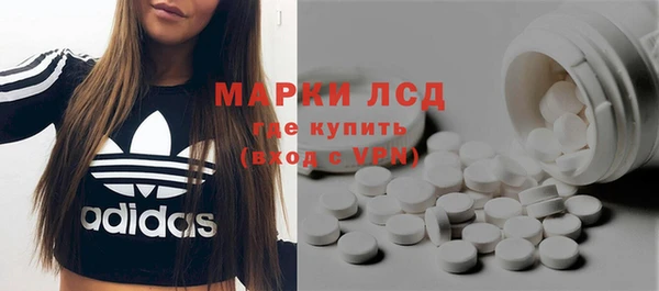 стафф Арсеньев