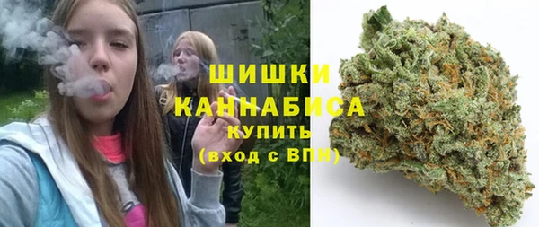 PSILOCYBIN Баксан