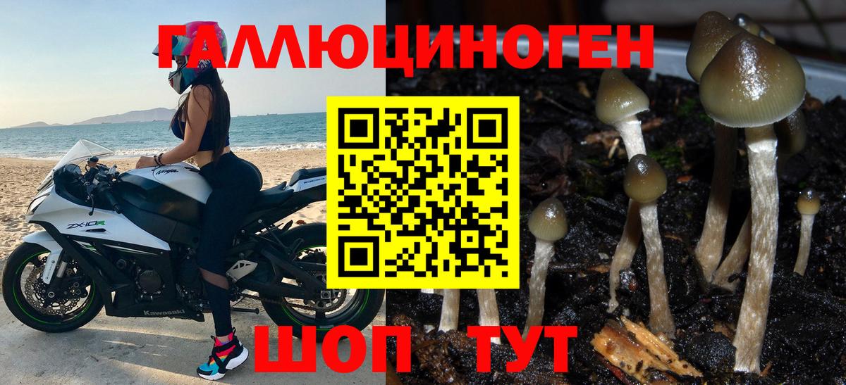 Можга  Псилоцибиновые грибы ЛСД  Вход с VPN  Галлюциногенные грибы Psilocybine cubensis 